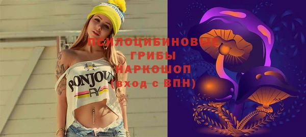 соль ск Балахна