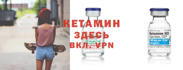 гидра Новозыбков